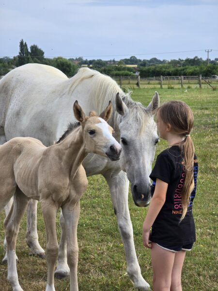 Stunning filly ready in December