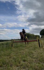 Ace, potential top class pony