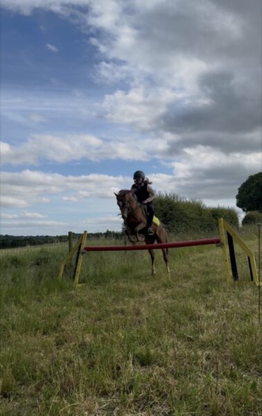 Ace, potential top class pony