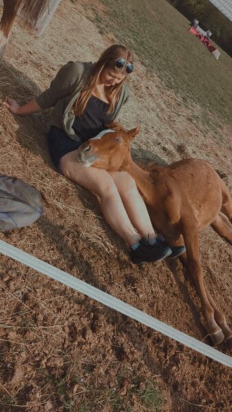 Super Friendly Yearling