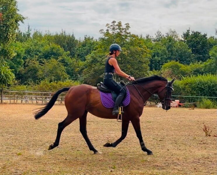 ✨Tilly✨