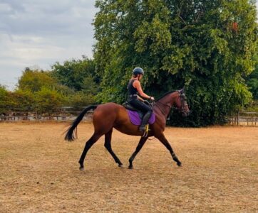 ✨Tilly✨
