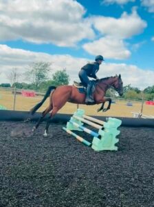 !!SOLD!! Lottie - 16hh 6yr old TB Mare