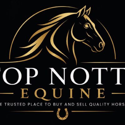 Top Notts Equine