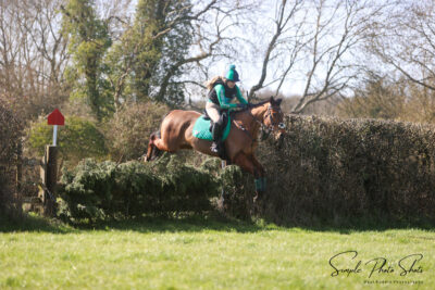 Lovely all rounder/ hunter