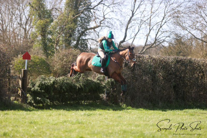 Lovely all rounder/ hunter