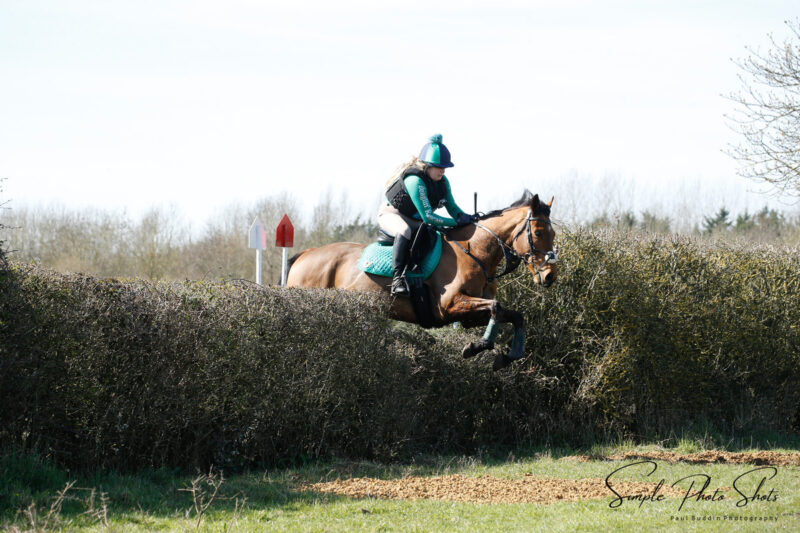 Lovely all rounder/ hunter