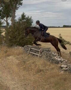 Talented Telefenny