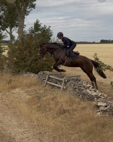 Talented Telefenny