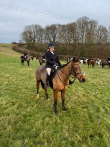 Lovely all rounder/ hunter