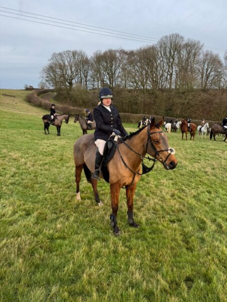 Lovely all rounder/ hunter