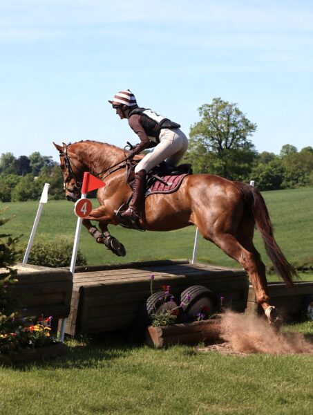 American TB- True allrounder