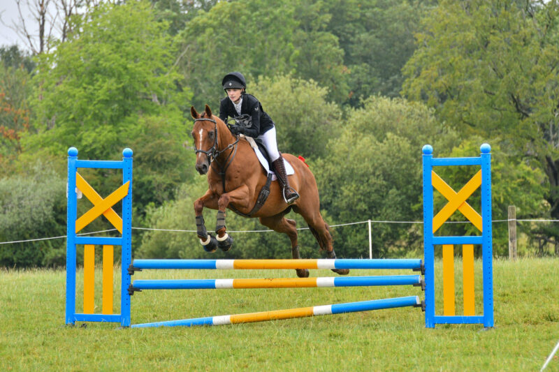 American TB- True allrounder