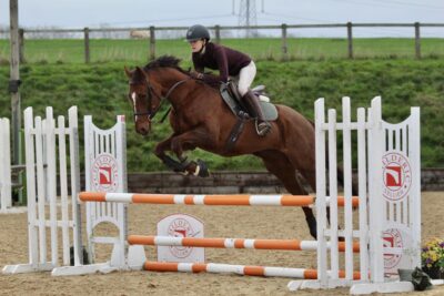 American TB- True allrounder