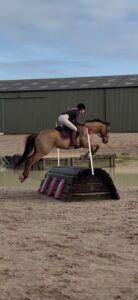 American TB- True allrounder
