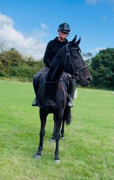 🖤Pip🖤Black, 12yr,16hh,TB,Gelding